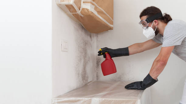 Professional Mold Cleanup technician working in Kingston, NY